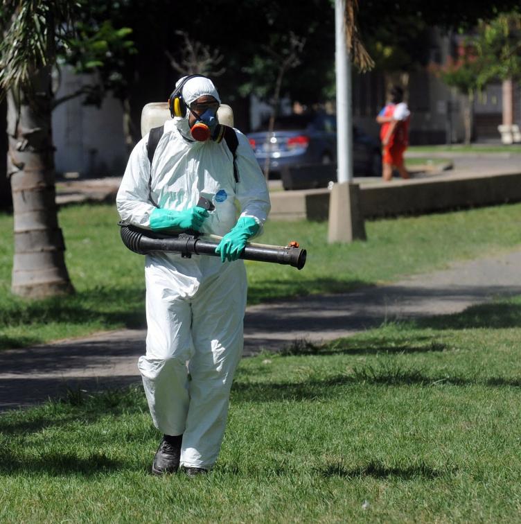 Trabajos de fumigación, iluminación y bacheo para este miércoles