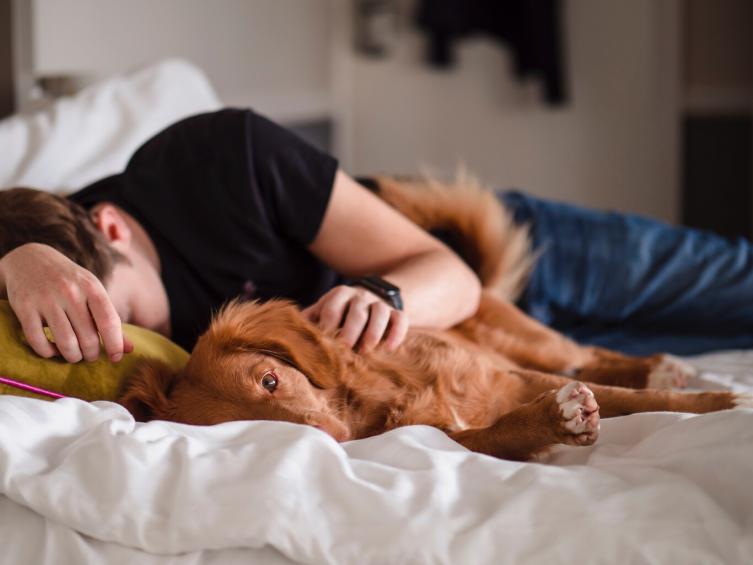 Falta de sueño ¿cómo afecta en la vida?