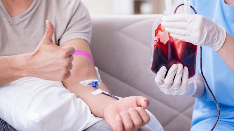 Se realizará la colecta de sangre más grande de los últimos años