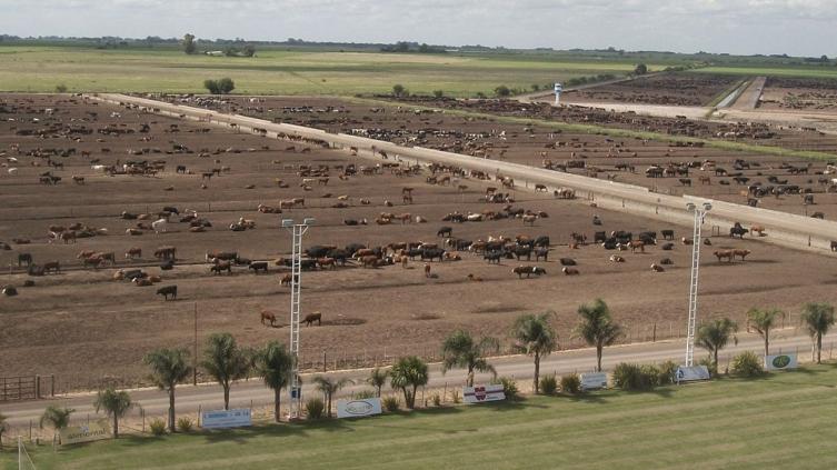 Se suspendieron hasta 2024 los desalojos rurales a pequeños productores