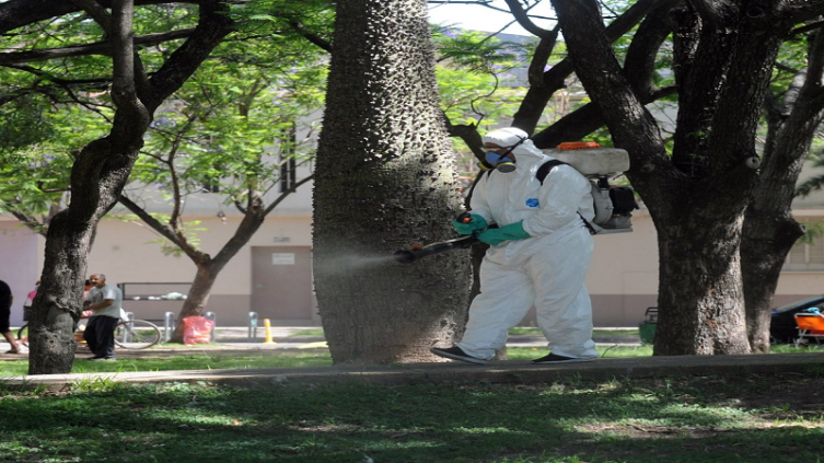 Trabajos de fumigación, iluminación y bacheo