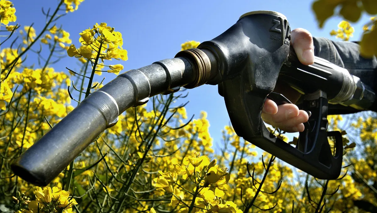 Por el faltante de gasoil, proponen aumentar el corte del biocombustible