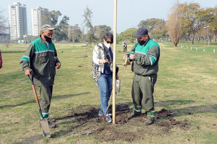 Trabajos de fumigación, iluminación y bacheo para este miércoles