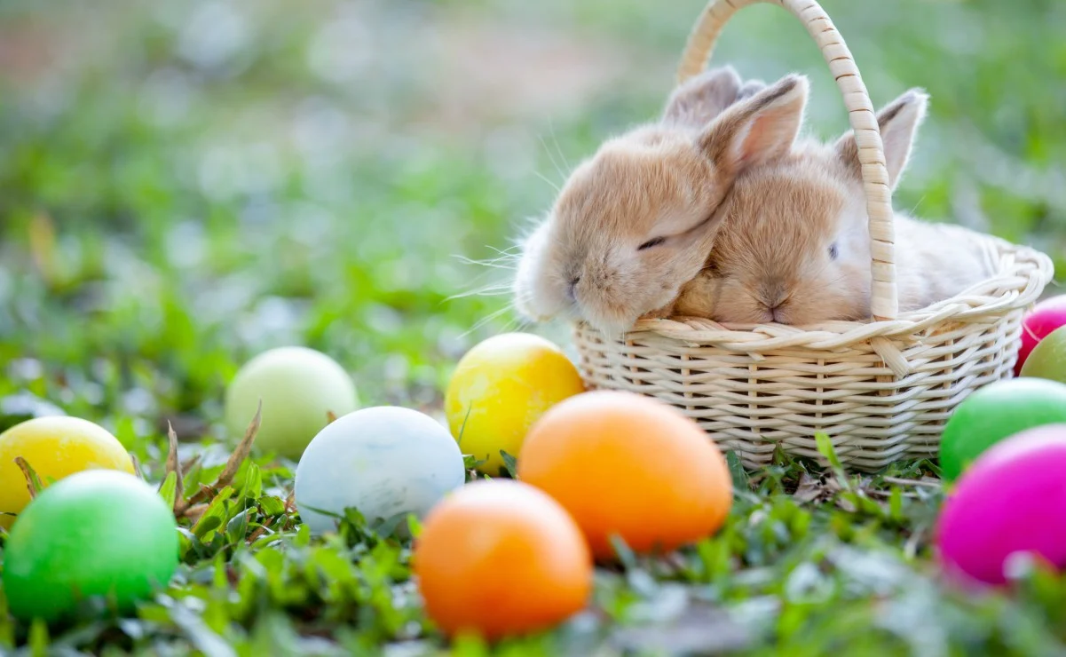 ¿Cuál es el origen del conejo de Pascuas?