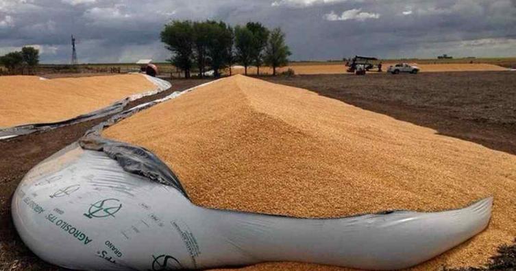 Le robaron las silobolsas a un productor agropecuario