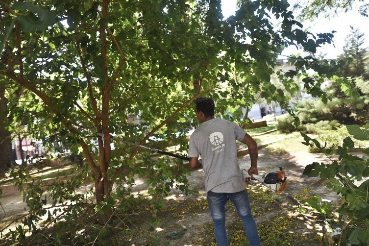 Trabajos de iluminación, arbolado y bacheo previstos para este miércoles