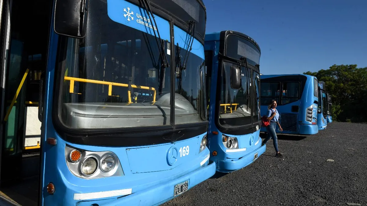 Choferes de corta y media distancia lanzaron un paro para el interior del país