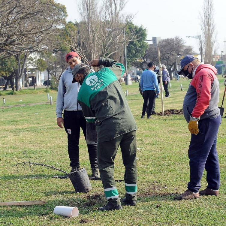 Trabajos de iluminación, arbolado y bacheo previstos para este lunes