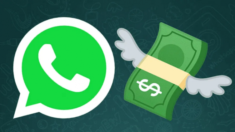 WhatsApp: cobrarará en los próximos meses