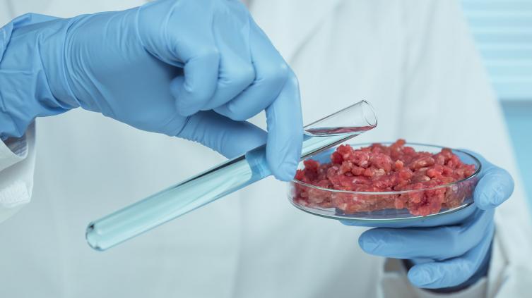 La “carne veggie” a base de hongos puede salvar los bosques, según la ciencia