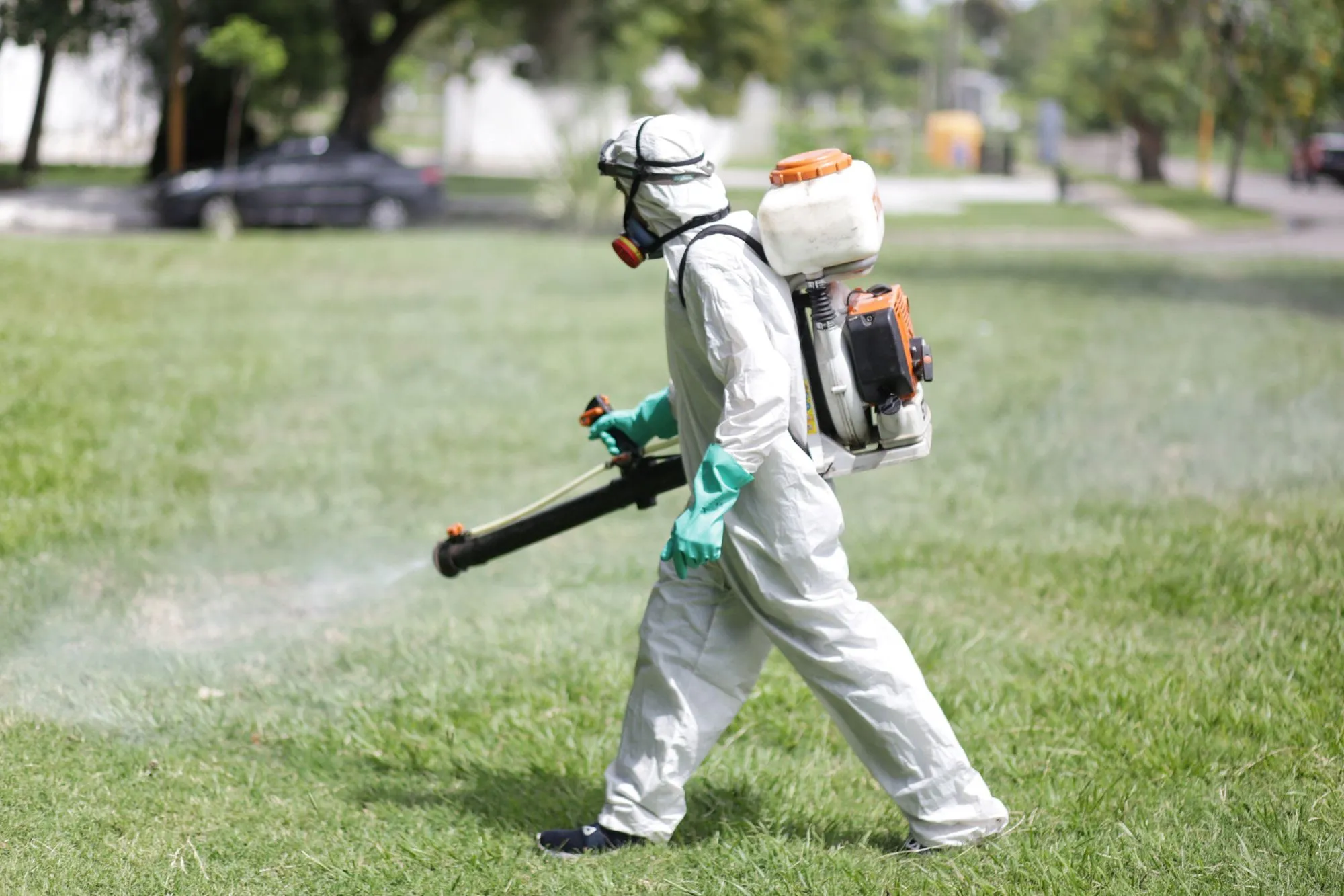 Trabajos de fumigación, iluminación y bacheo previstos para este jueves