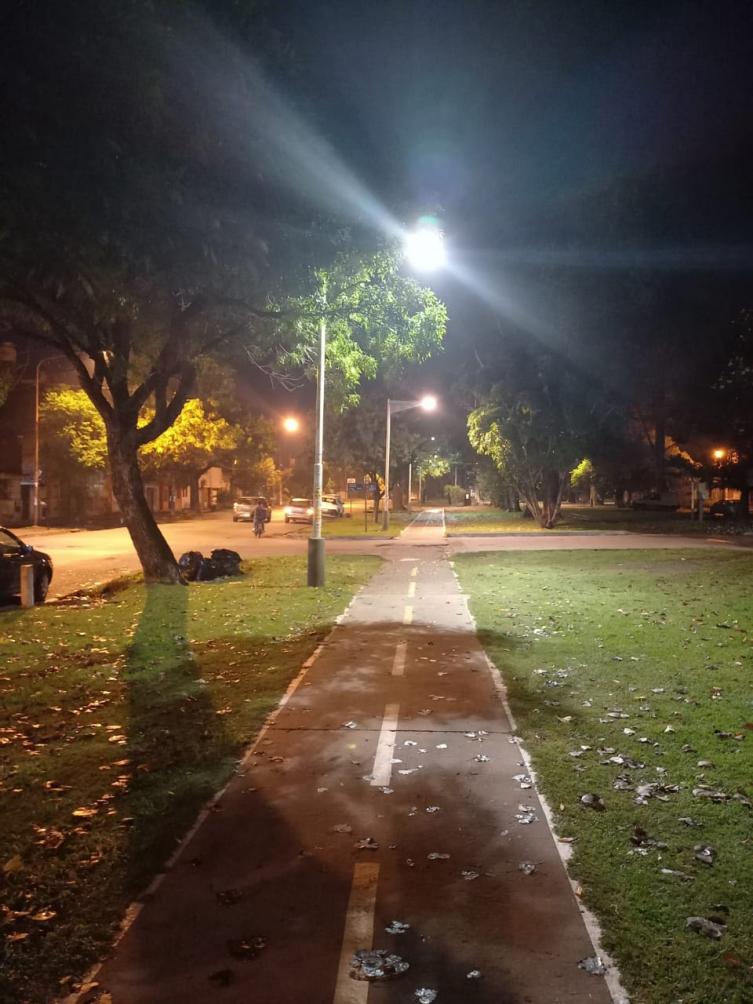 Trabajos de fumigación, iluminación y bacheo para este lunes