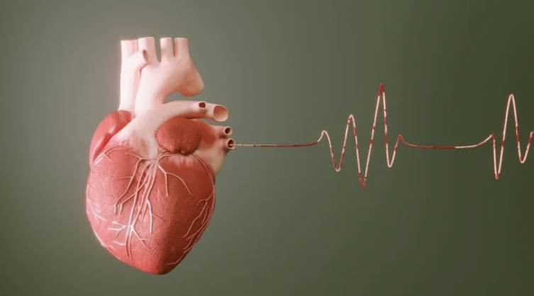 Alrededor de 280 muertes diarias por enfermedades cardiovasculares