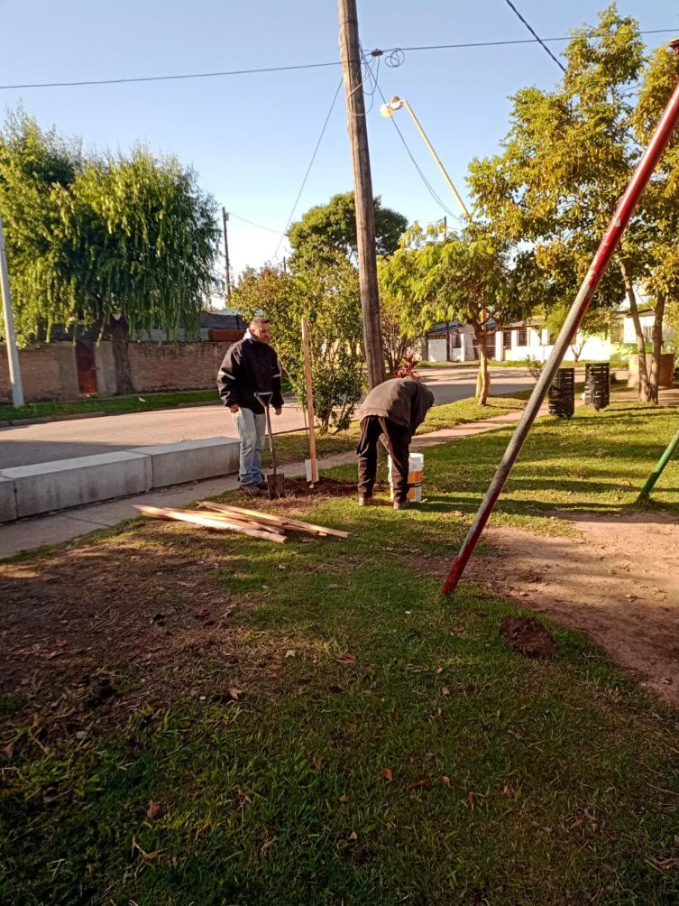 Trabajos de fumigación, iluminación y bacheo previstos para este jueves