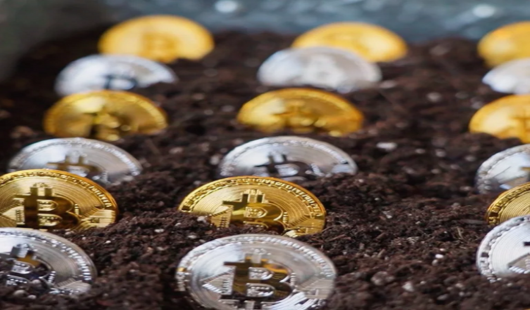 Convertir la basura en bitcoins: proyecto argentino 