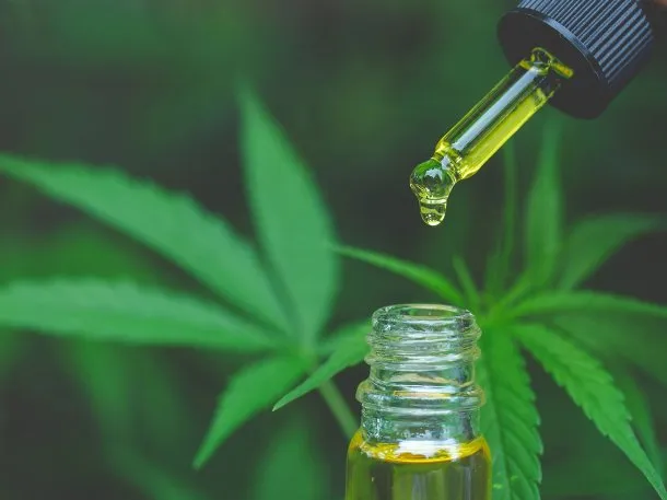 Se promulgó la Ley de Cannabis Medicinal: los detalles de la norma