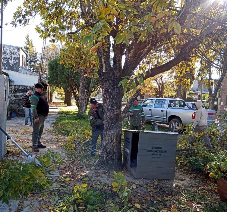 Trabajos de bacheo, iluminación y arbolado previstos para este jueves