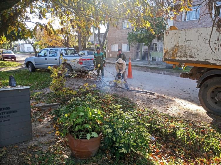 Trabajos de bacheo, iluminación y arbolado para este lunes