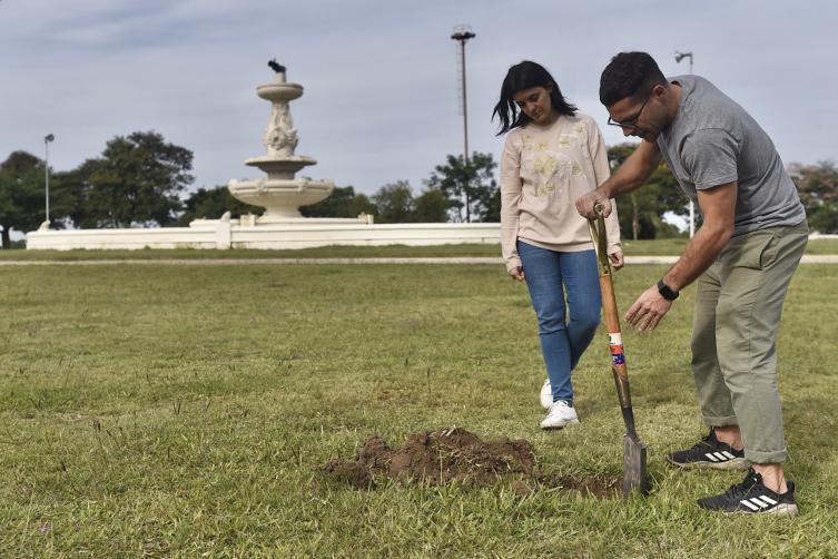 Trabajos de bacheo, iluminación y arbolado previstos para este jueves
