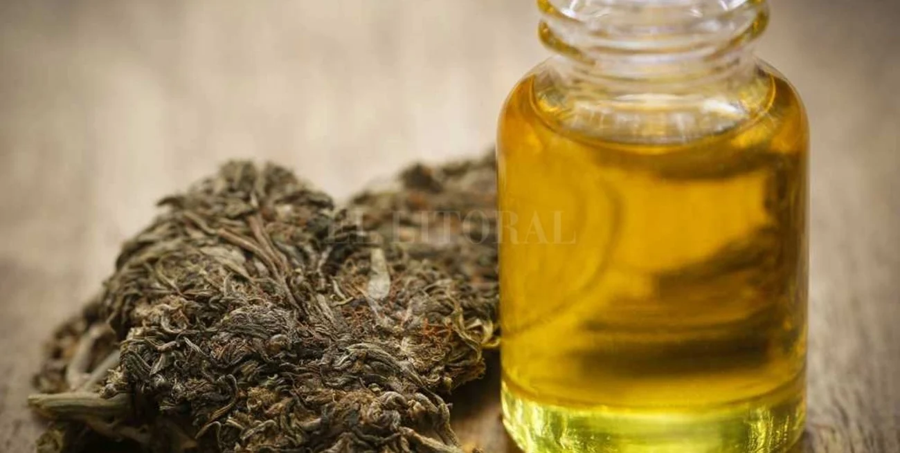 La provincia capacitó a la Policía de Santa Fe sobre cannabis medicinal