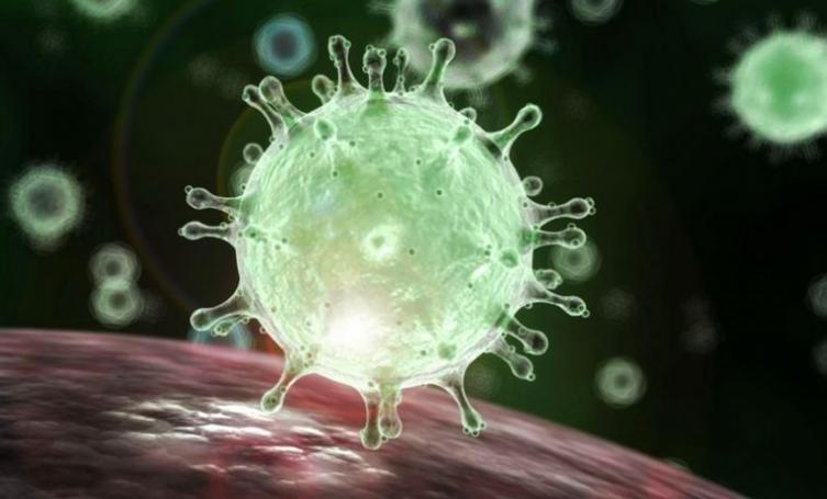 La OMS investiga nueva subvariante de Ómicron: centaurus