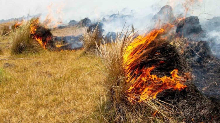 Alerta meteorológico por incendios en el norte y oeste del país