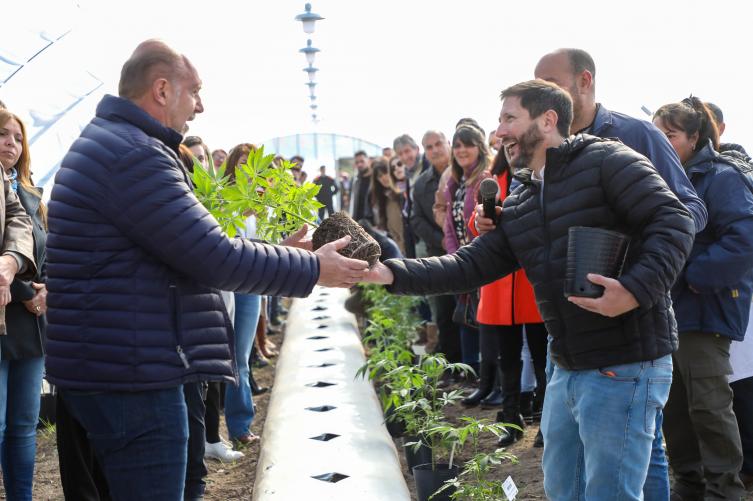 Comenzó el cultivo de cannabis medicinal a campo en la provincia