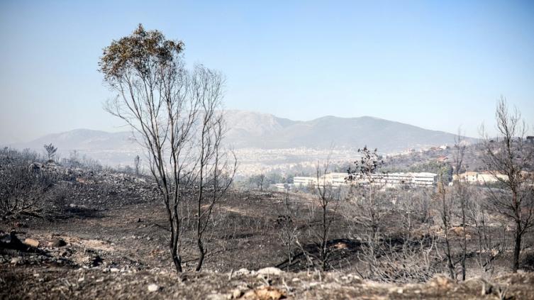 El fuego amenaza los suburbios de Atenas