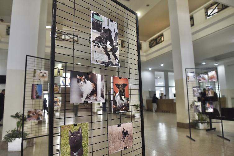 Se exhibe la muestra “Nuestros animales de compañía”