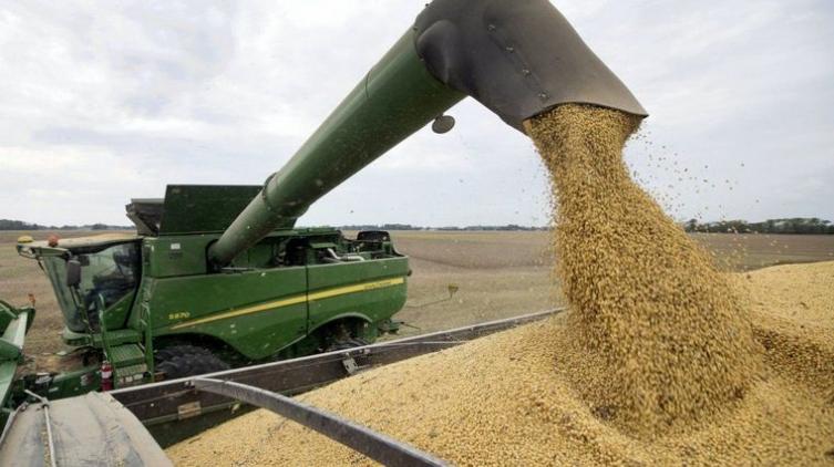 Crearon el “dólar soja” para que el campo liquide la cosecha