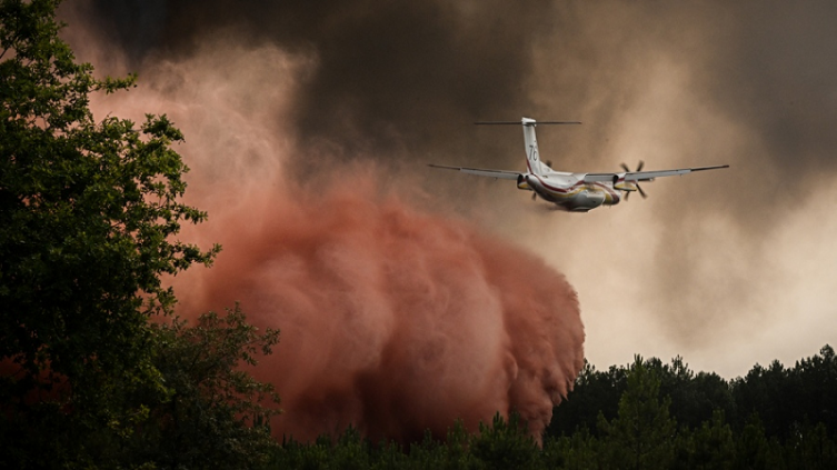 Ola de calor: incendios forestales en Francia