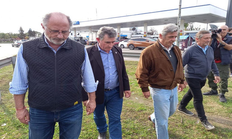 El Campo a Massa: 