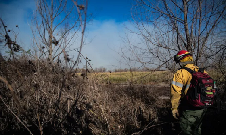 La Corte Suprema ordenó informar medidas adoptadas para combatir el fuego 