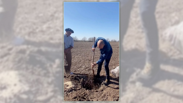 Abel Pintos planta más de 6.000 árboles por la conservación del planeta