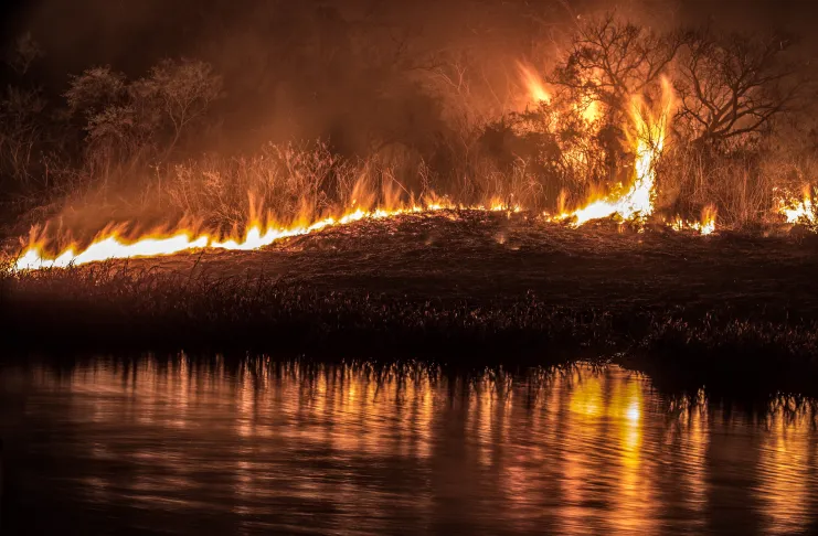 Detuvieron a dos nuevas personas por iniciar incendios en las islas