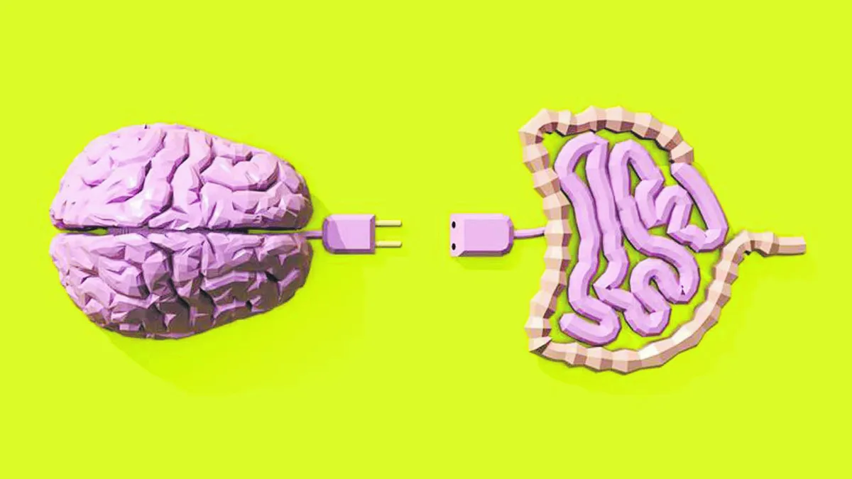 Cuál es el vínculo entre la salud intestinal y el cerebro