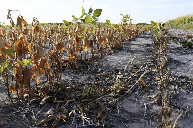 Santa Fe trabaja para decretar una “emergencia agropecuaria de precisión”