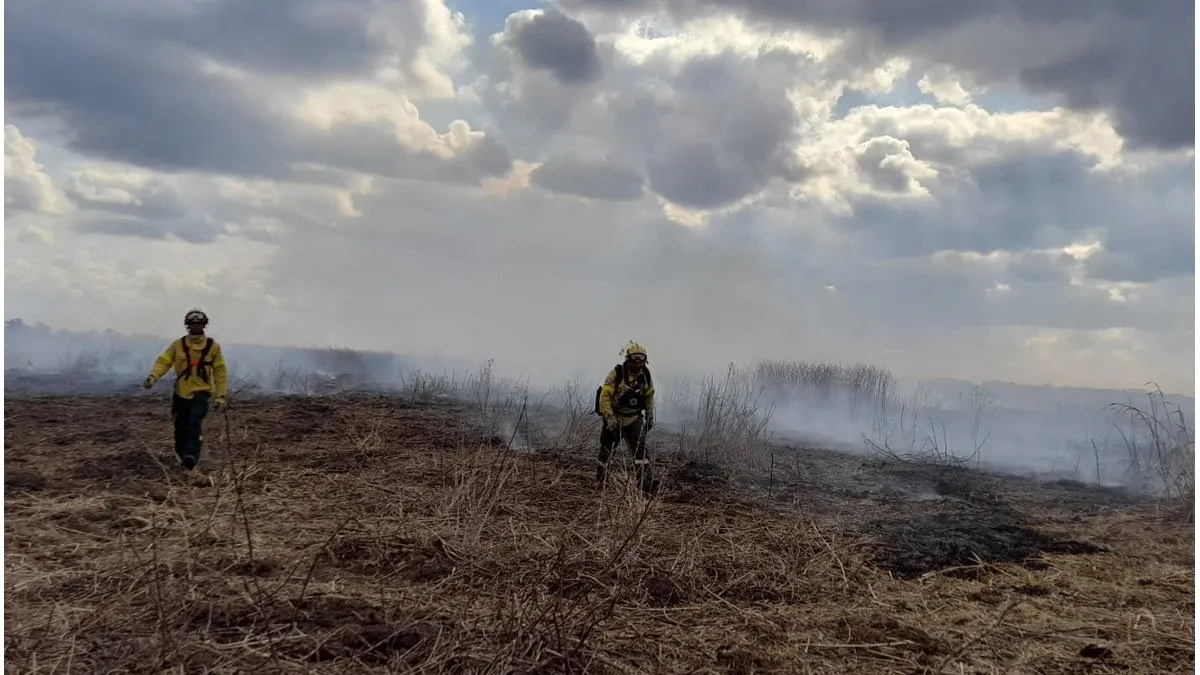 La provincia realizó una denuncia penal por incendios en el norte provincial