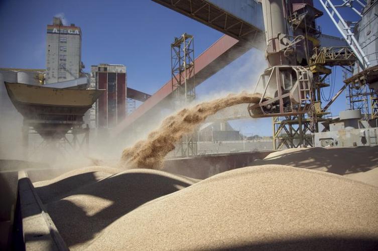 Cerealeras que operaron con 