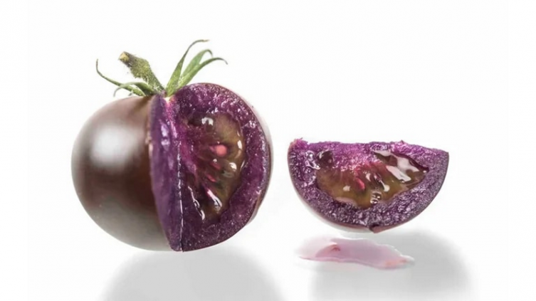 Estados Unidos autorizó la venta de tomates genéticamente modificados