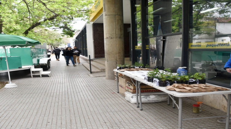 “Instituciones Verdes” ya cuenta con 90 entidades participantes