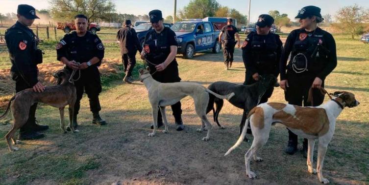 Fuerte polémica por la restitución de los galgos rescatados 