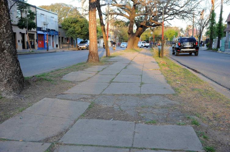 Licitarán obras para renovar la avenida J.J. Paso