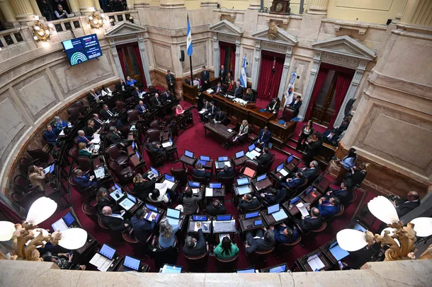 El Senado sesiona para suspender desalojos de barrios populares y expropiar Cromañón