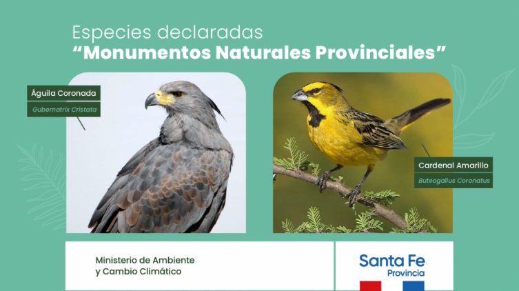 Dos nuevos monumentos naturales protegidos por Ley