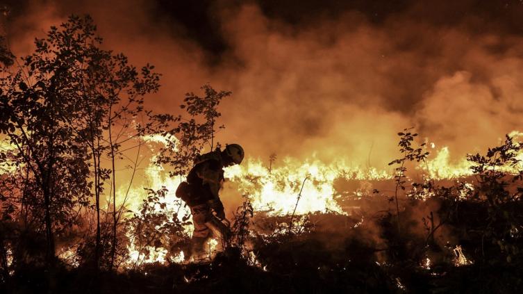 La ola de calor en Europa provocó al menos 15.000 muertes en 2022