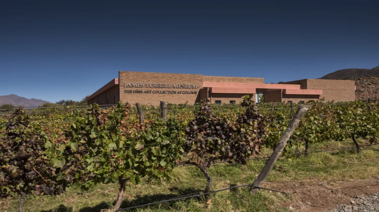 Valles Calchaquíes: así funciona la bodega sustentable e inclusiva