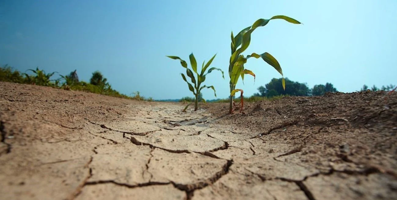 No se decretará la emergencia agropecuaria hasta que no haya nueva ley