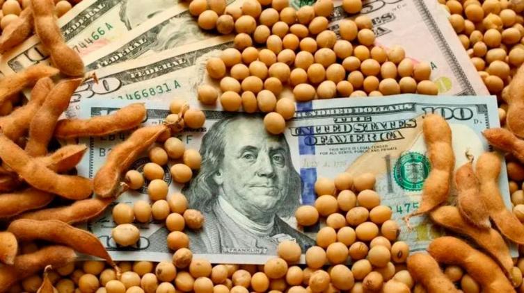 El Gobierno anunció un nuevo dólar 