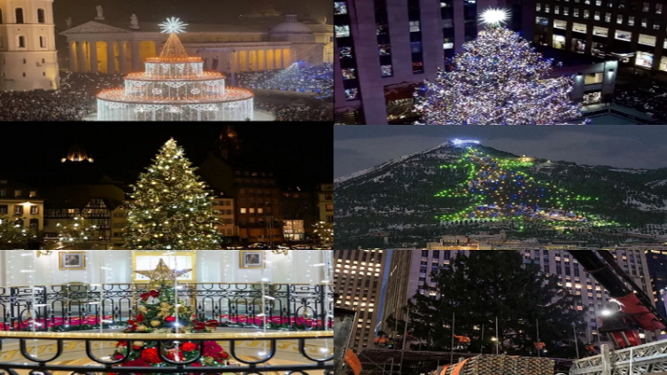 Los árboles de Navidad más raros y exóticos del mundo